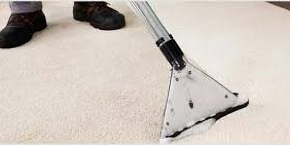 The Proven Benefits of Professional Carpet Cleaning for Every Household