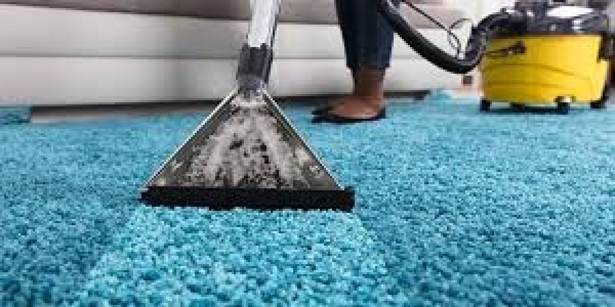 Improve Your Home’s Health with Professional Carpet Cleaning