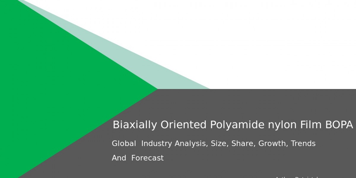 Biaxially Oriented Polyamide Film Market Study: Trends & Business Opportunities