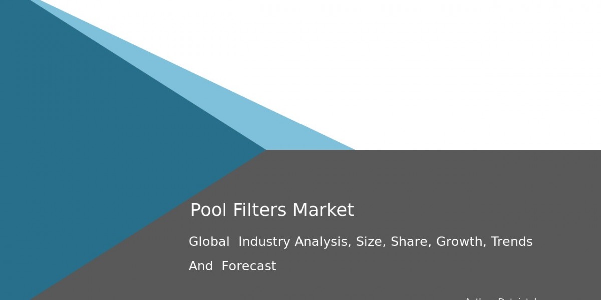 How Eco-Friendly Solutions are Transforming the Pool Filters Market?