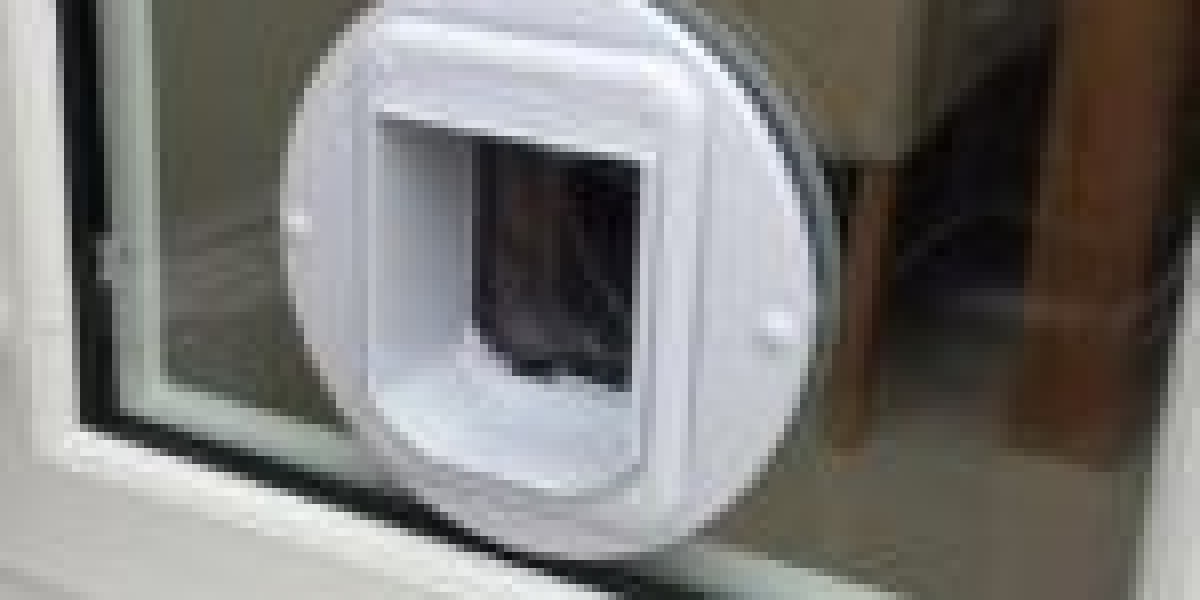 10 Things People Hate About Cat Door Maintenance