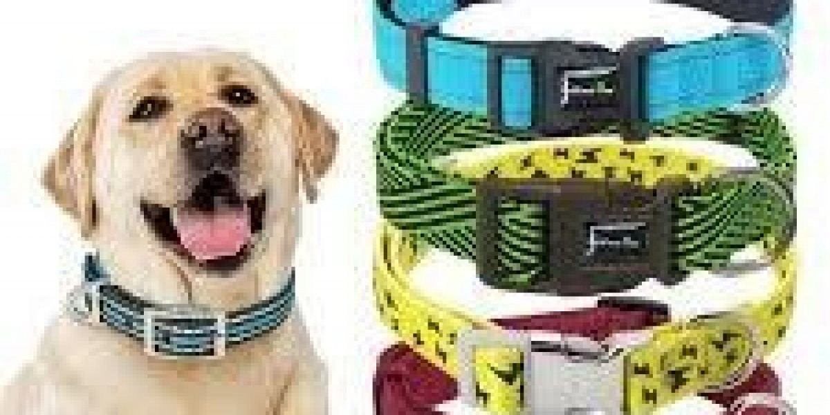 Efficient Inventory Tactics for Pet Retailers