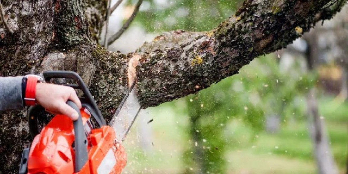 Tree Trimming services Dickinson, TX