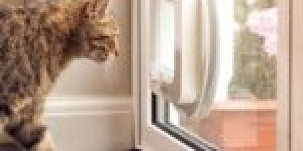 How Cat Door Fitting Service Rose To Become The #1 Trend On Social Media