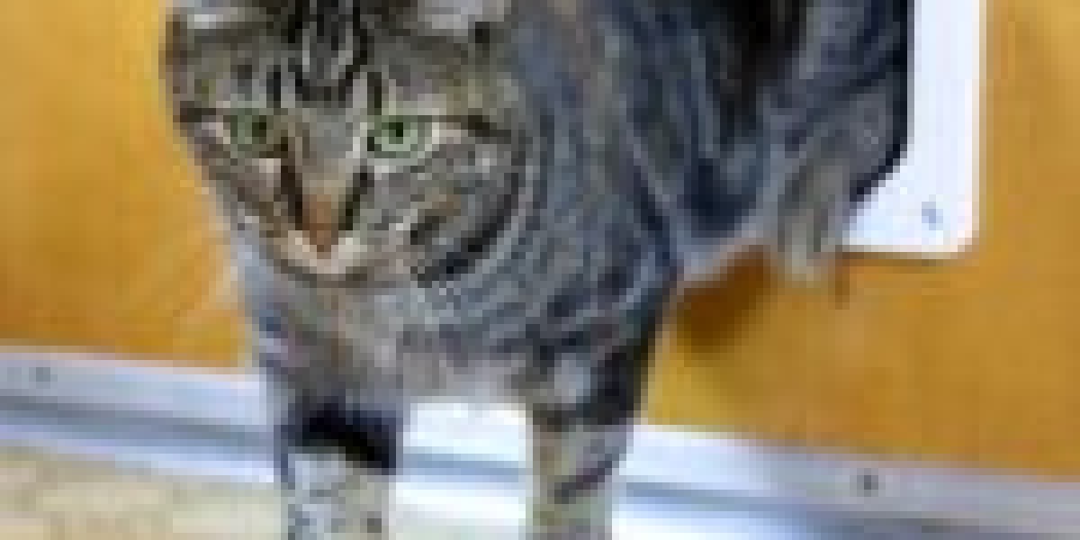 15 Weird Hobbies That'll Make You More Successful At Cat Flap Repair