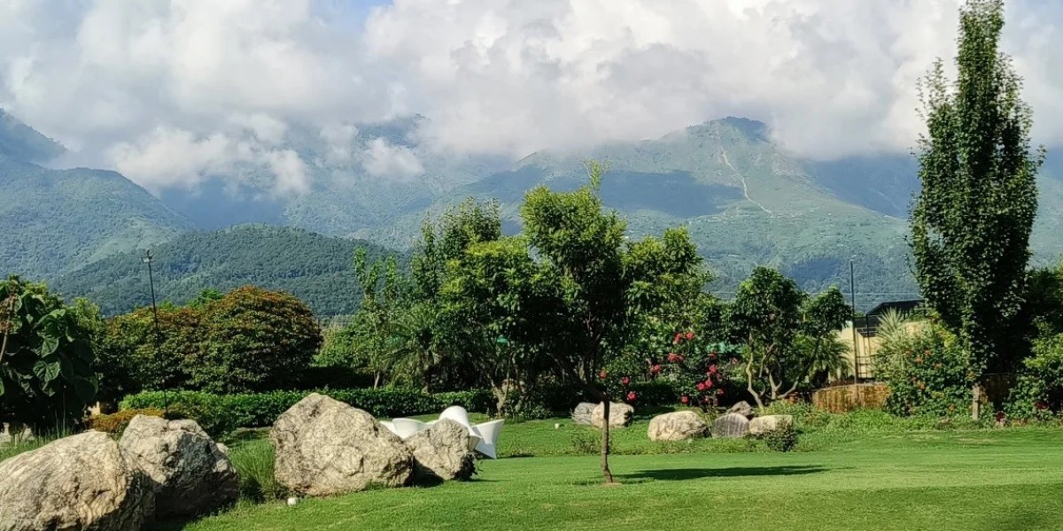 Nature-Inspired Nuptials: Why Jim Corbett is the New Wedding Hotspot