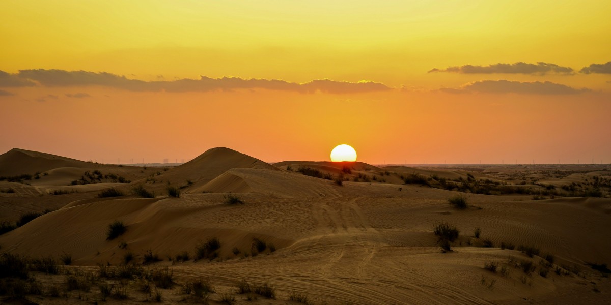 Evening Desert Safari Dubai: Is It Really a Must-Do? An Honest Review