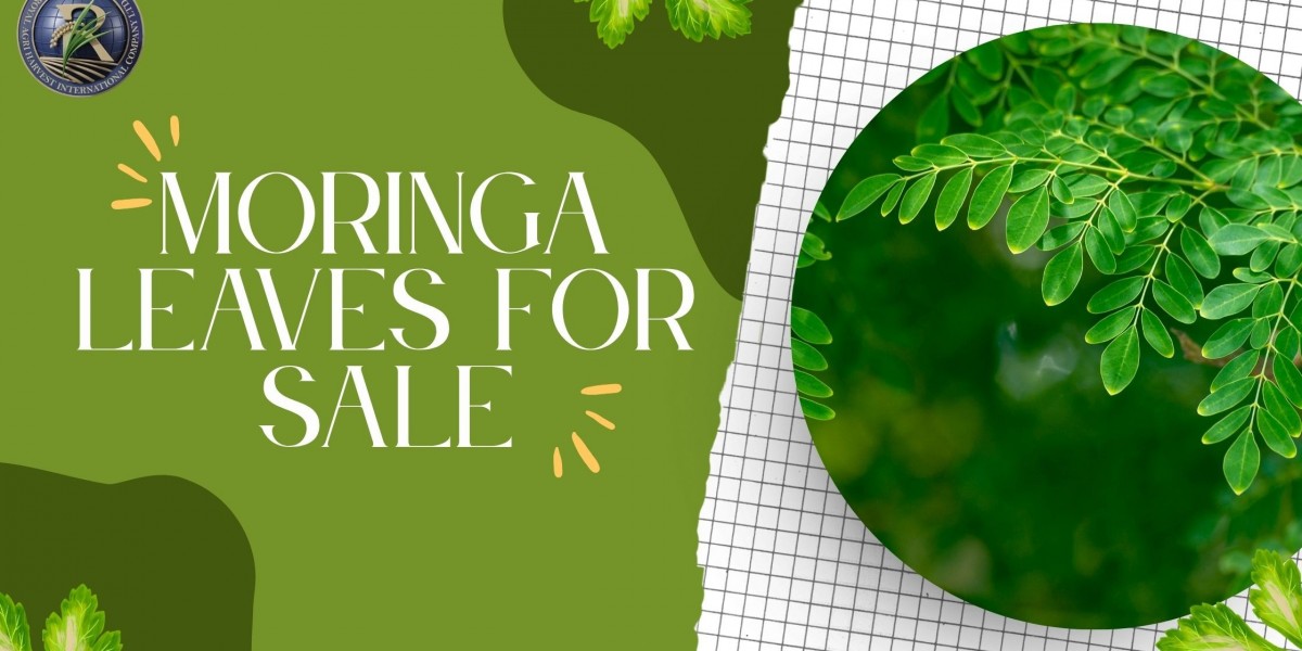 Royal Agri’s Fresh Moringa Leaves for Sale: A Superfood Must-Have