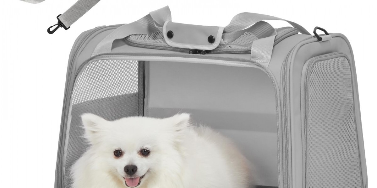Traveling in Style: The Bond Between a Dog and Carrier