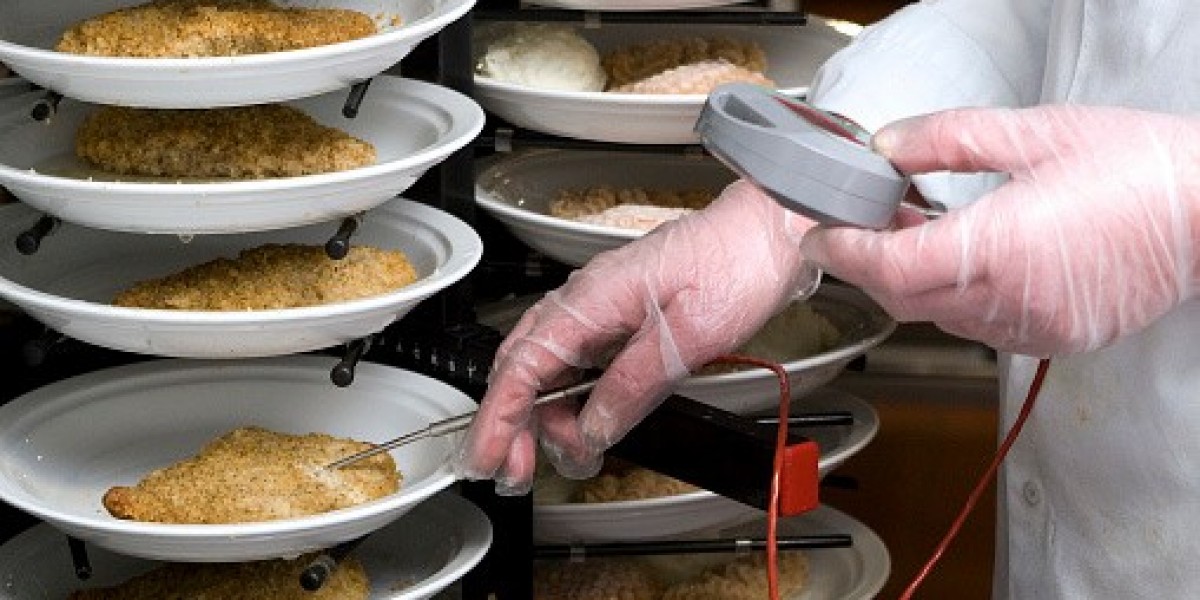 Global Food Safety Testing Market Growth, Regulatory Landscape, and Forecast 2030