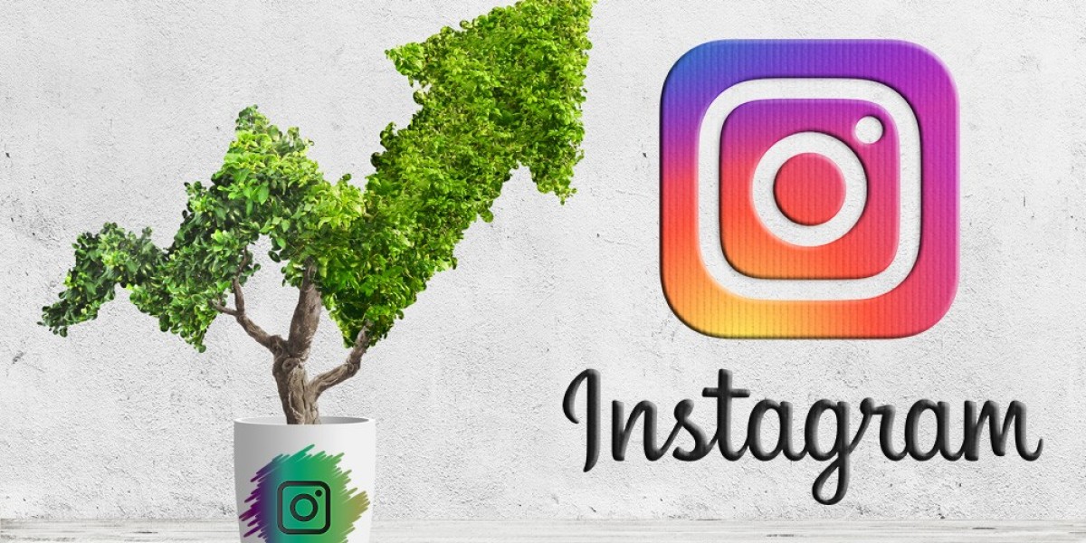 The ProflUp Instagram Followers Gold importance