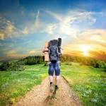 Jesse Rogers Profile Picture