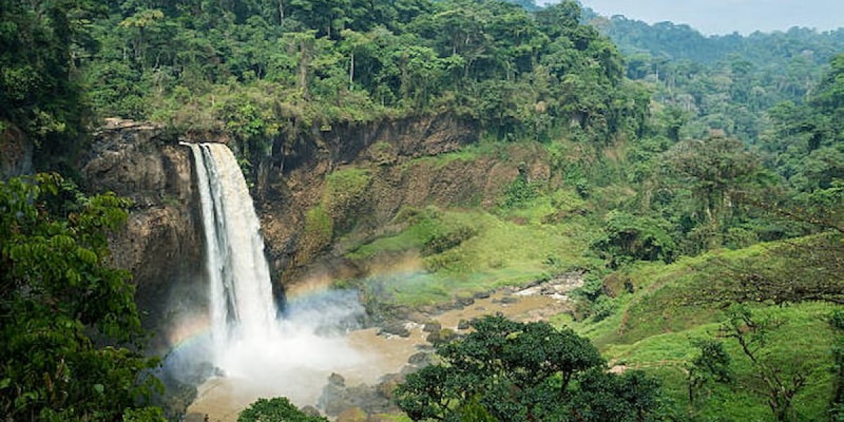 Cameroon Visa Fees for Indian Citizens in 2025
